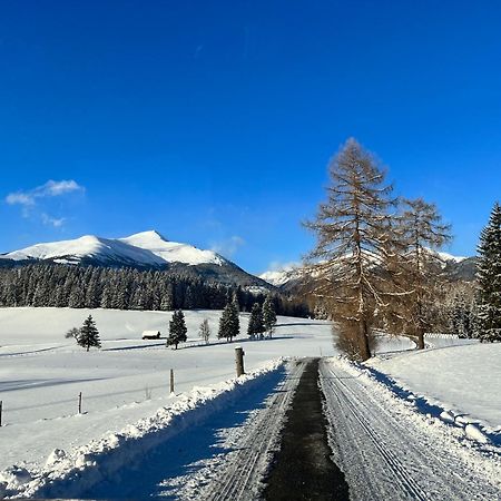 Feistritz am Kammersberg Chalet Am Teich Familie Gaenserヴィラ エクステリア 写真