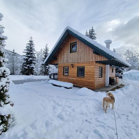 Feistritz am Kammersberg Chalet Am Teich Familie Gaenserヴィラ エクステリア 写真