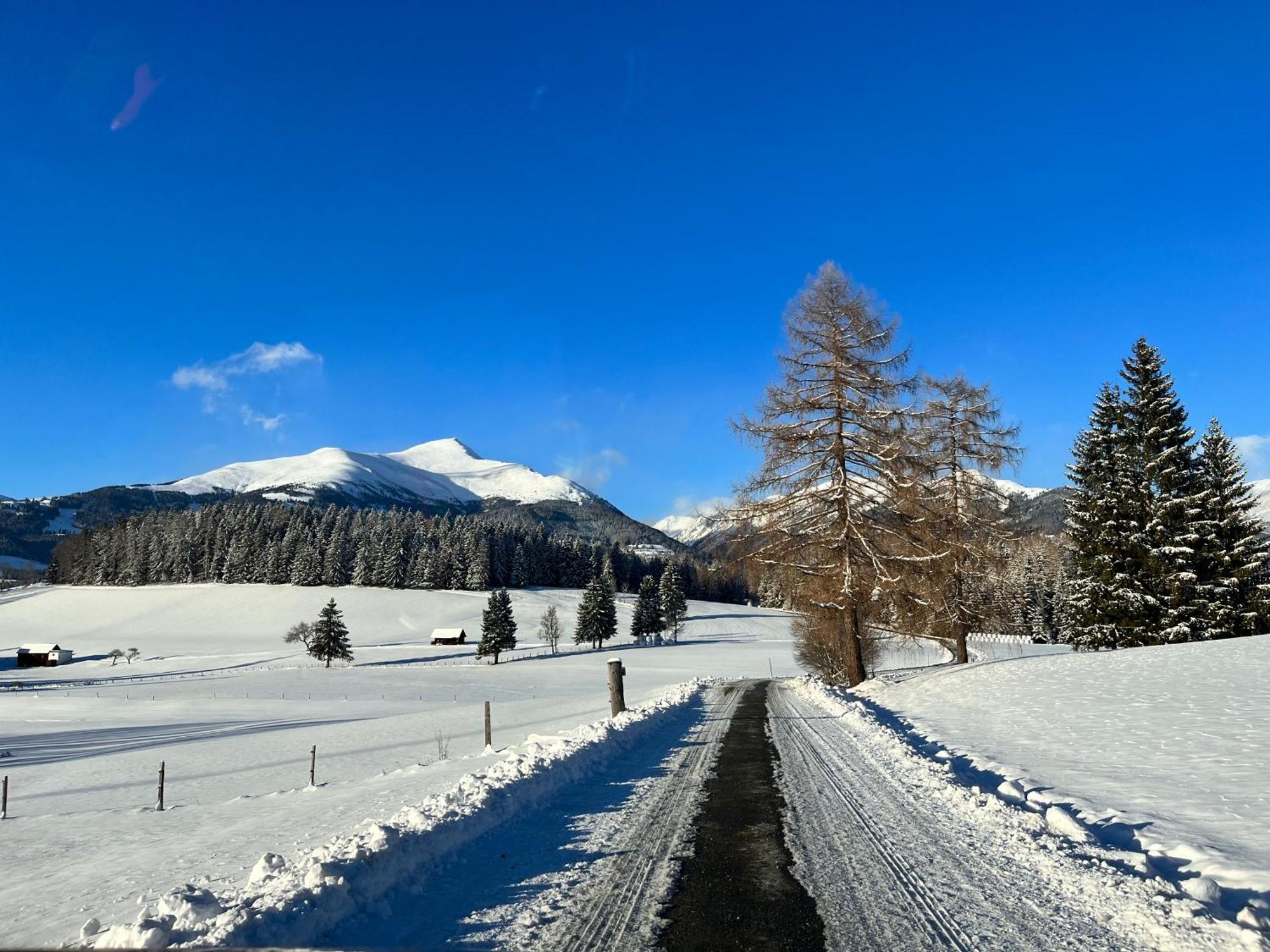 Feistritz am Kammersberg Chalet Am Teich Familie Gaenserヴィラ エクステリア 写真