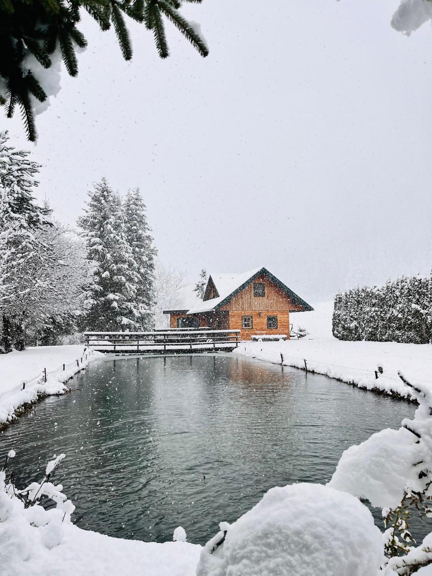 Feistritz am Kammersberg Chalet Am Teich Familie Gaenserヴィラ エクステリア 写真