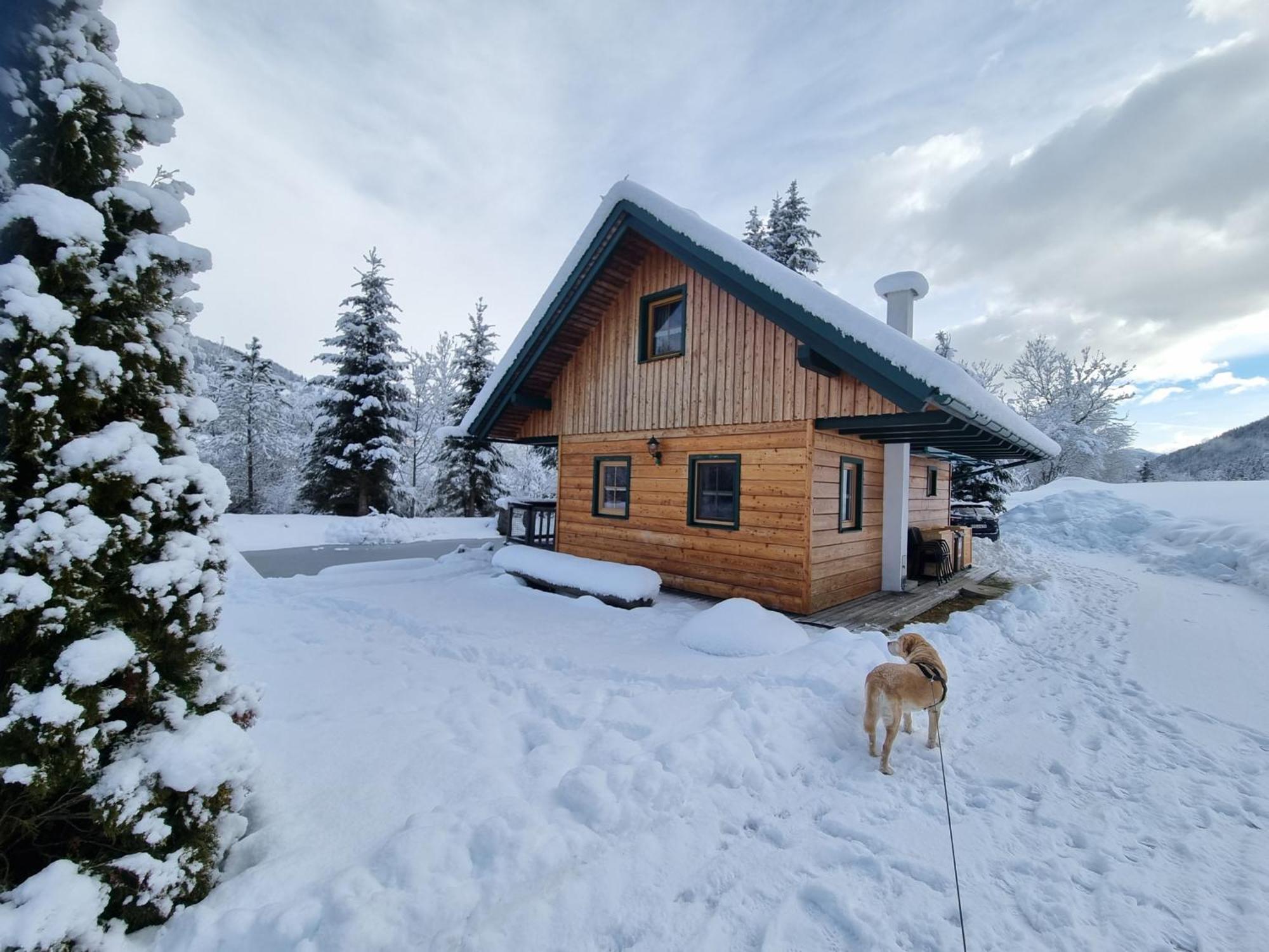 Feistritz am Kammersberg Chalet Am Teich Familie Gaenserヴィラ エクステリア 写真