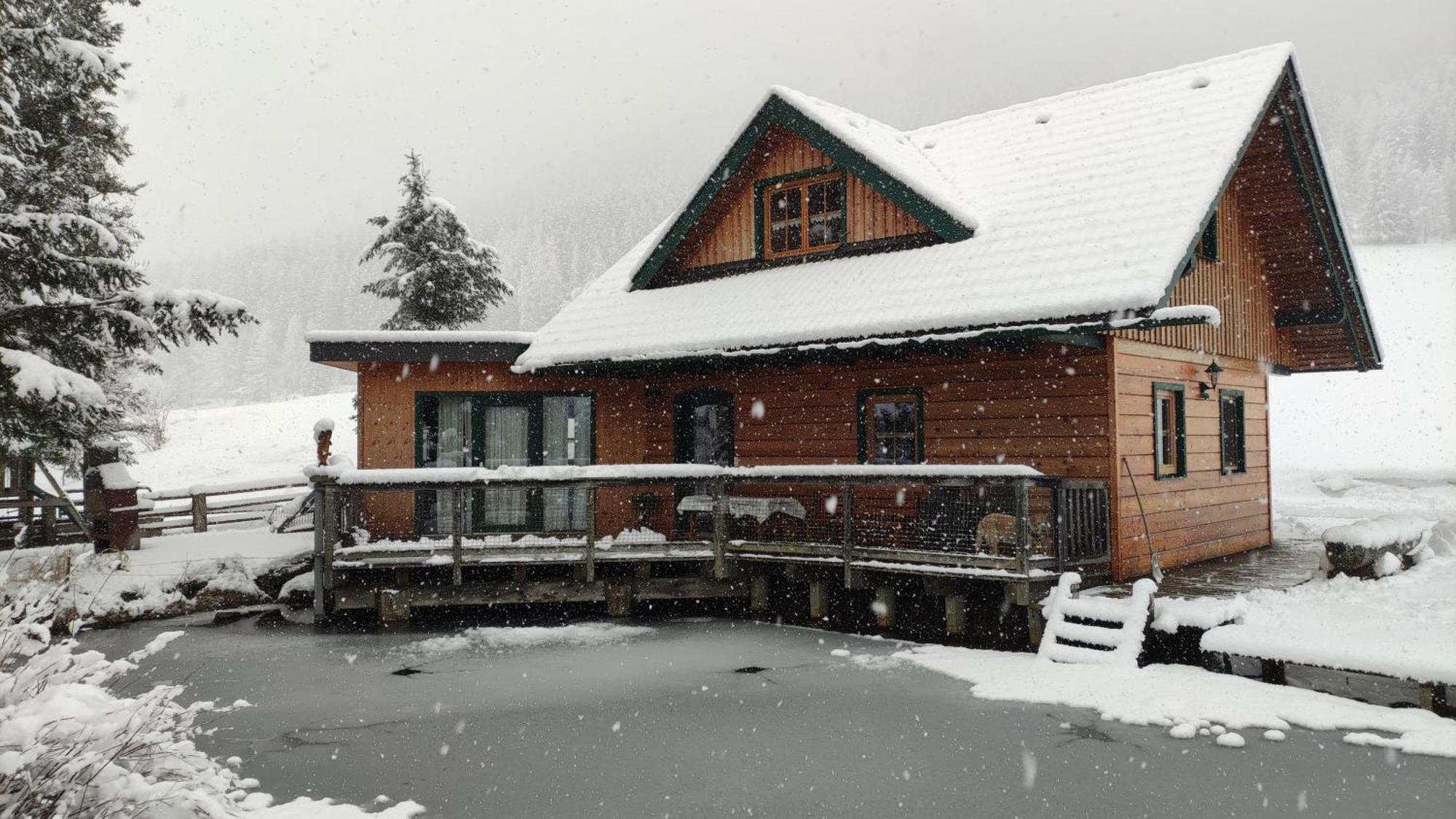 Feistritz am Kammersberg Chalet Am Teich Familie Gaenserヴィラ エクステリア 写真